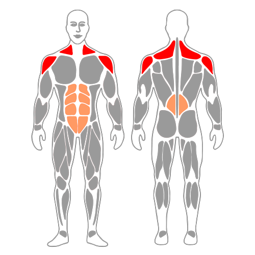 Elevación frontal de hombros con mancuernas de pie