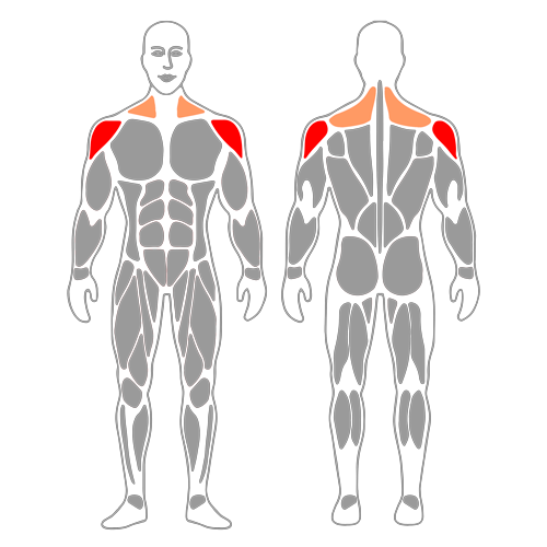 Elevacion lateral de hombros con mancuernas