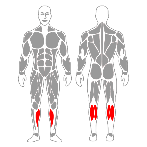 Elevación de talones de pie apoyado