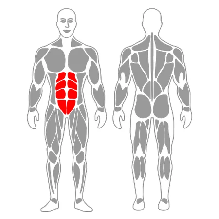 Encogimientos abdominales con trx