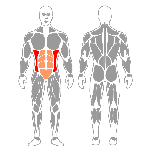 Encogimientos abdominales oblicuos mano en la cabeza