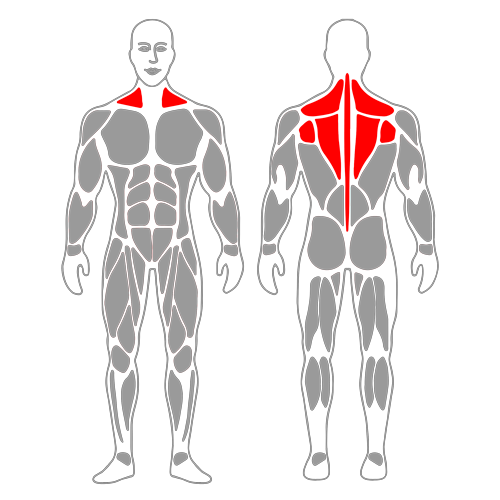 Estiramiento de la columna toracica con roller foam