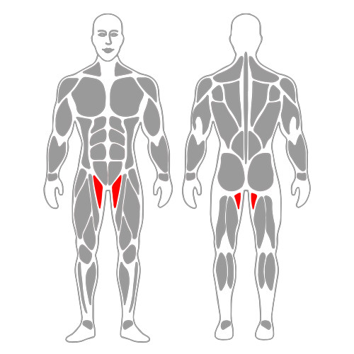 Estiramiento de aductores de pie con piernas abiertas