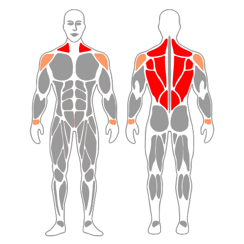 Estiramiento del gato