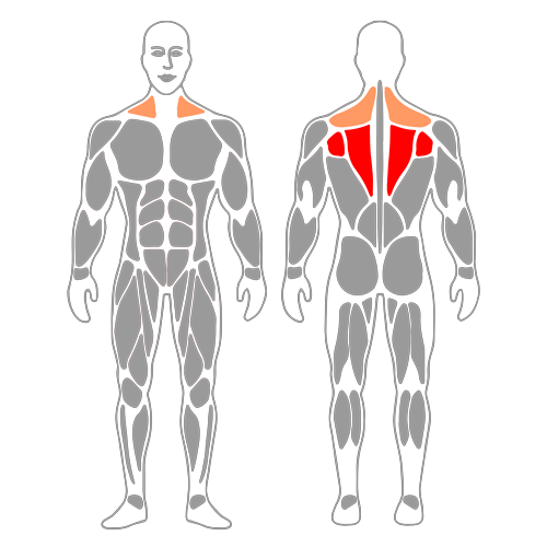 Estiramiento enhebrar aguja