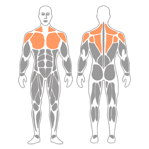 Estiramiento enhebrar aguja con roller foam