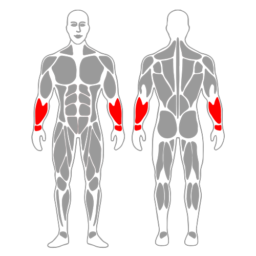 Estiramiento de extensores de muñeca