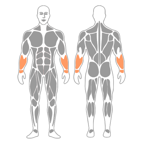 Estiramiento de los flexores de la muñeca
