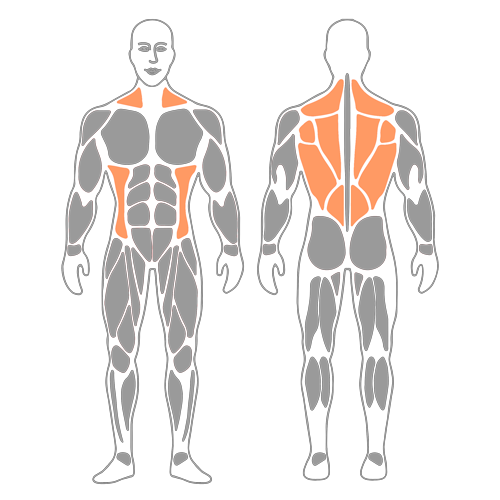Rotación torácica sentado