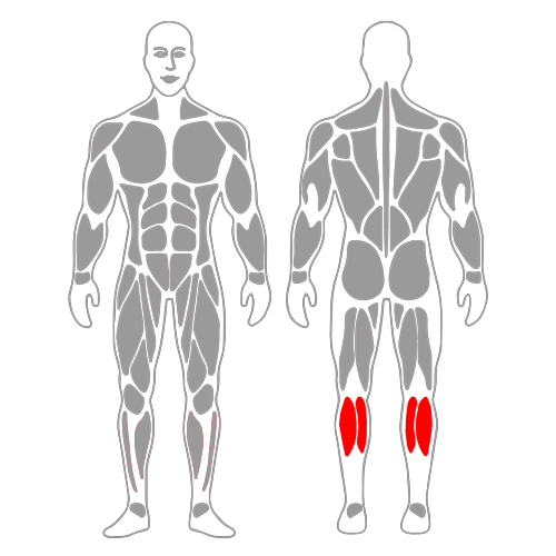 Excéntrico de gemelo