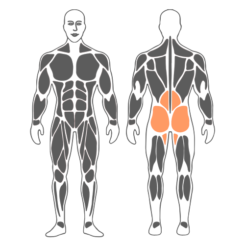 Extensión de pierna y brazo sobre pelota de pilates