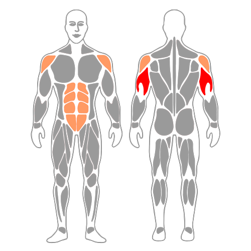 Extensión de triceps a una con mancuerna de pie