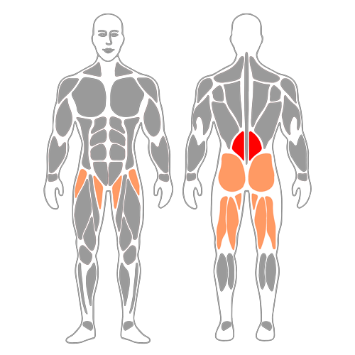 Extensión lumbar en silla romana