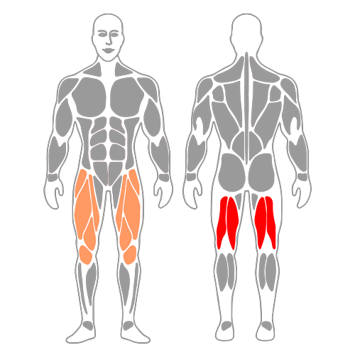 Flexión activa de rodilla