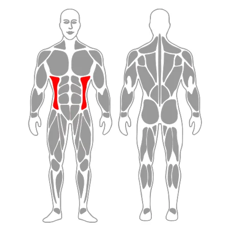 Flexión lateral de tronco con mancuerna