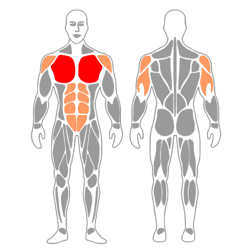 Flexiones de brazos sobre un banco plano