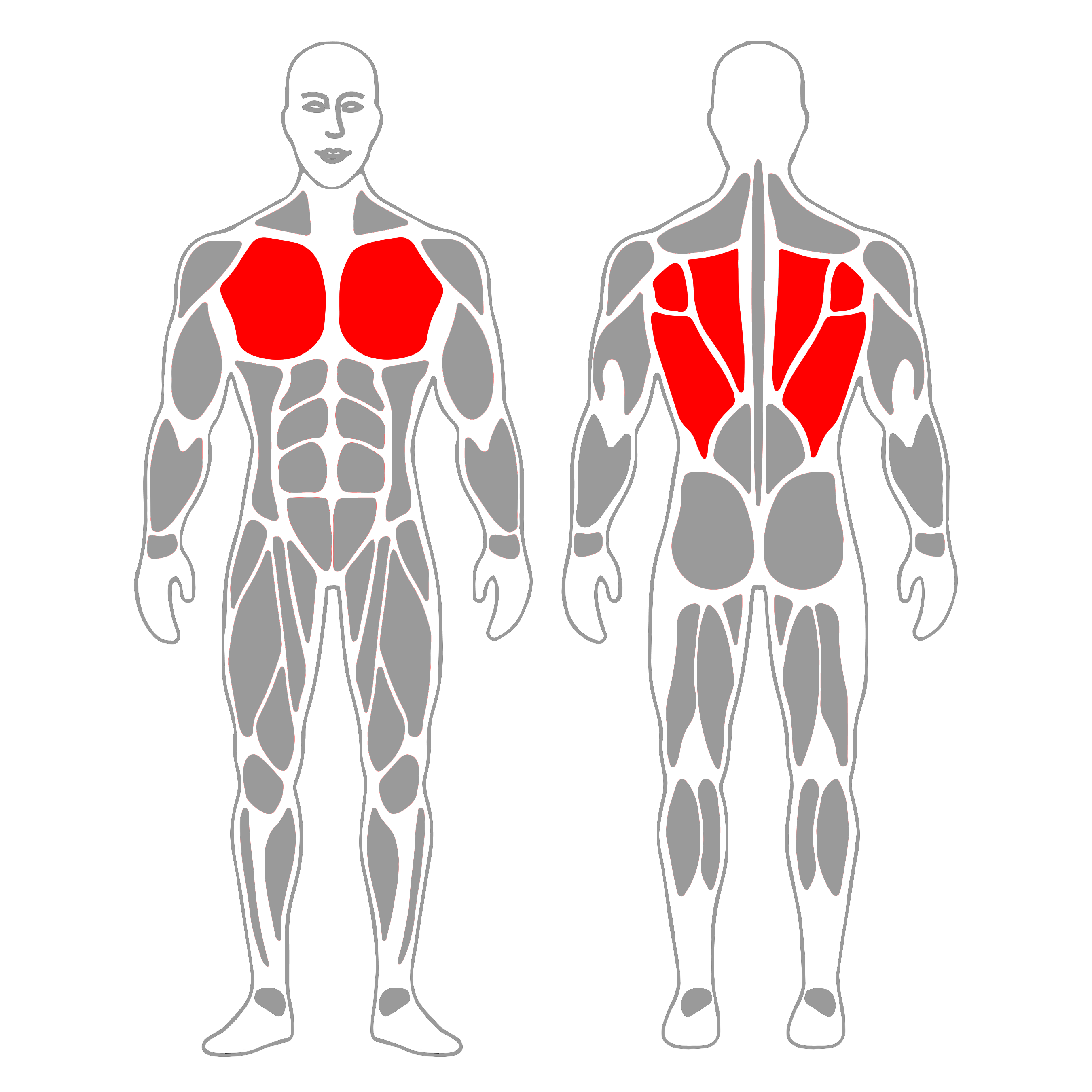 Flexiones y remo con botellas de agua