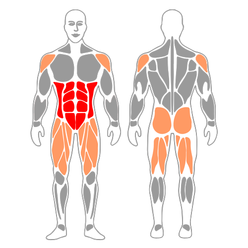 Flexo-extensión de pierna en apoyo de pie y antebrazo
