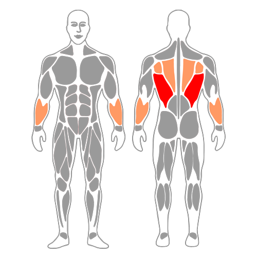 Jalón con polea alta agarre neutro