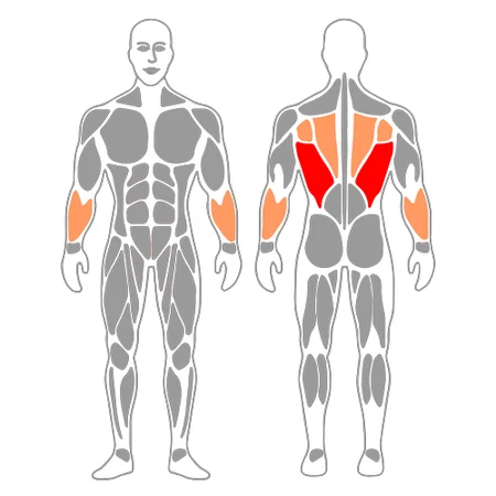 Jalón con polea alta agarre neutro