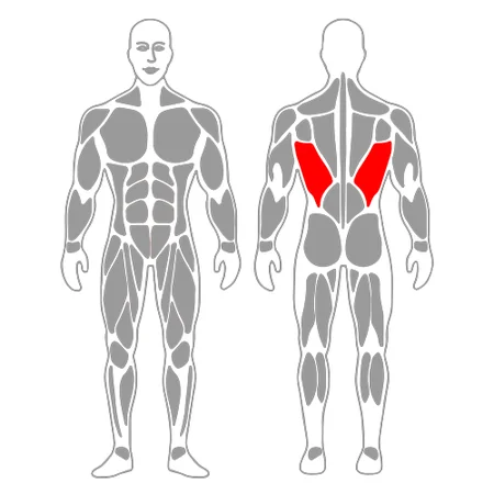 Masaje del dorsal ancho con roller foam