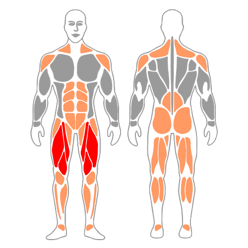 Media sentadilla con mancuernas