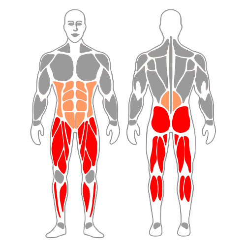 Media sentadilla sobre bosu