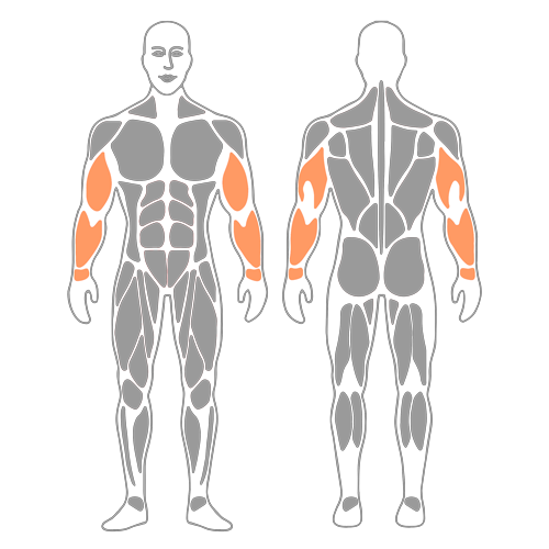 Movilización del nervio cubital : Dorsiflexión de muñeca