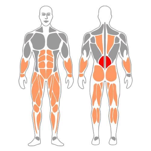 Peso muerto con barra o tradicional