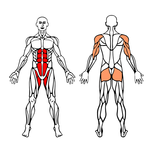 Plancha y flexión de brazos