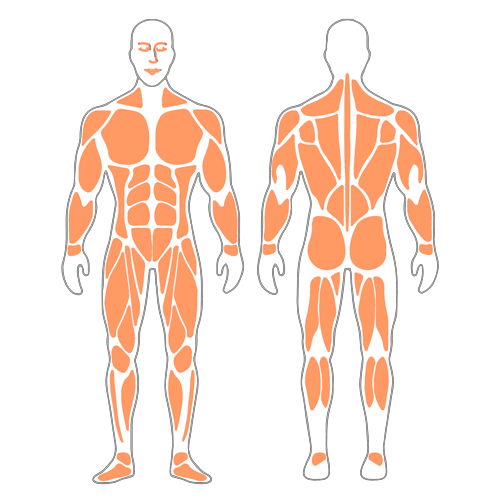 Postura correcta sentado