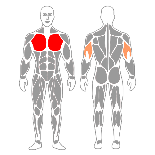 Press banca en banco de press banca