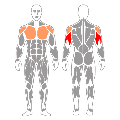 Press pectoral en banco plano con barra agarre cerrado