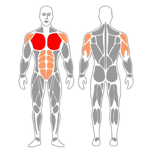 Press pectoral inclinado con mancuernas sobre pelota pilates