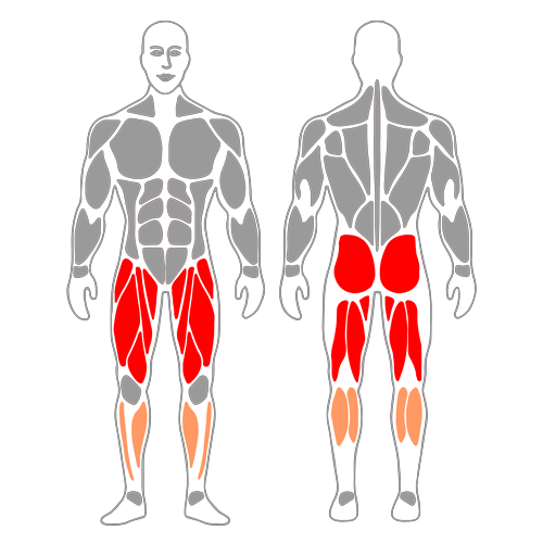 Press vertical de piernas