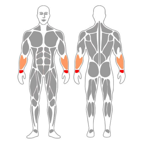 Pronación de  muñeca con banda elástica