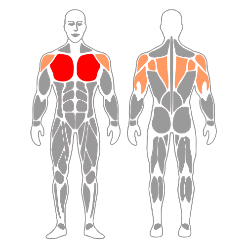 Pullover con mancuerna sobre pelota de pilates