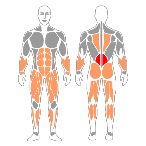Remo con barra de pie