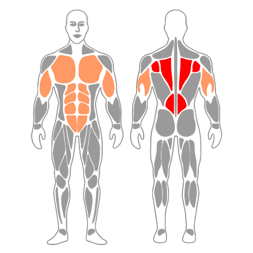 Remo con mancuernas en posición de flexiones de brazos