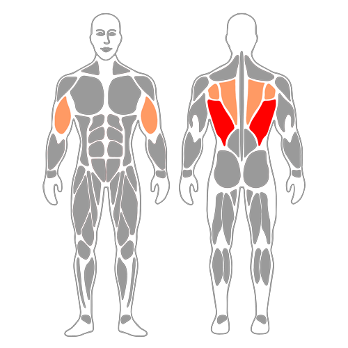Remo de pie con banda elástica