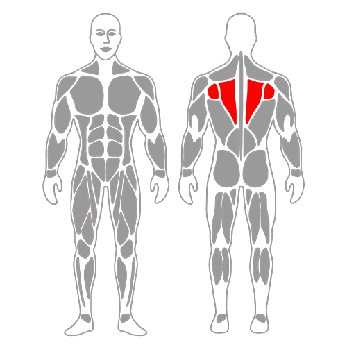Protracción escapular con brazo estirado