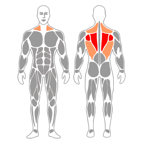 Retracción y protracción escapular en posición de plancha