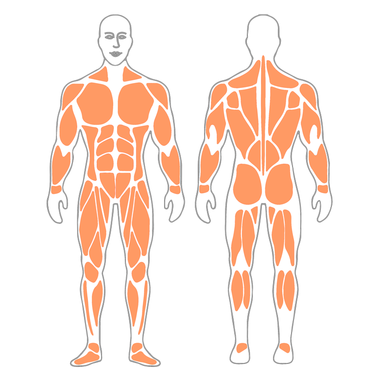 RICE.Descanso-hielo-compresion-elevacion