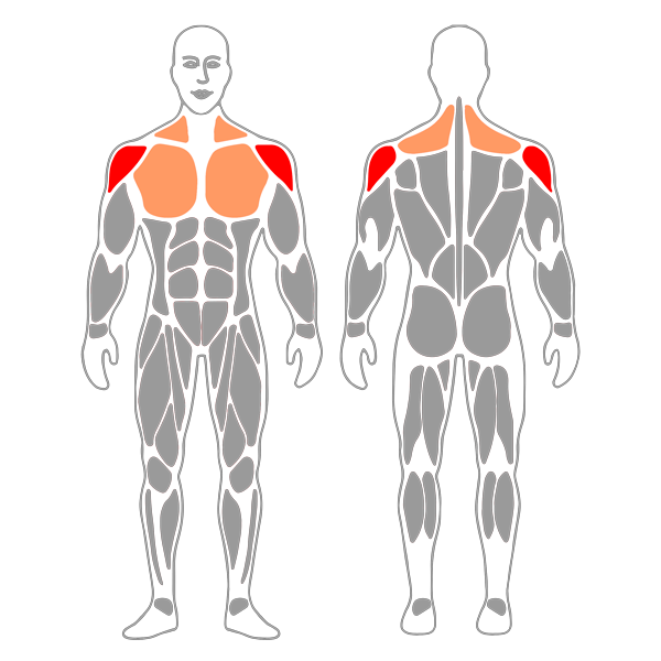 Rotación de hombros con mancuernas en 90º