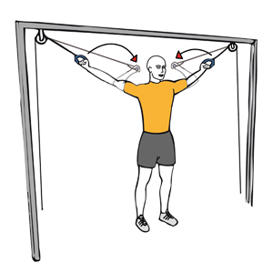 Curl biceps con cable-polea brazos en cruz