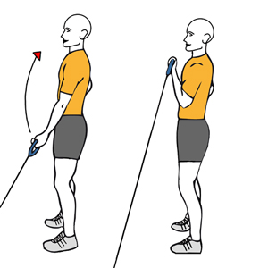 Curl de biceps a una mano con cable-polea de pie