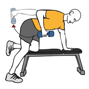 Patada de triceps con mancuerna rodilla apoyada sobre banco plano