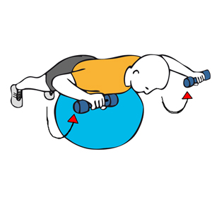 Rotación de hombros con mancuernas boca abajo sobre pelota de pilates