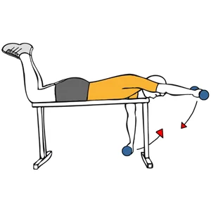 Elevación frontal de hombros tumbado boca abajo en banco plano