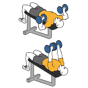 HIPERTROFIA I (PECTORALES-TRICEPS-HOMBROS)